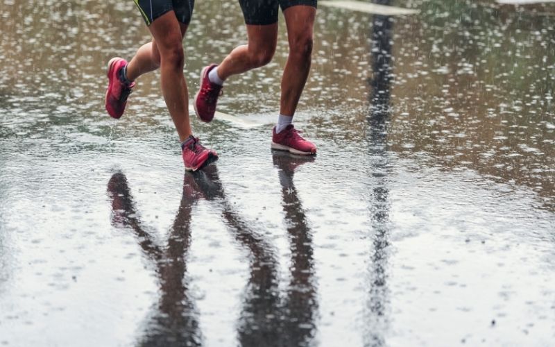 whats the best dog for a long distance runner