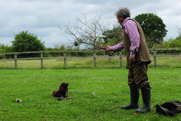hup hand signal getting a spaniel to sit