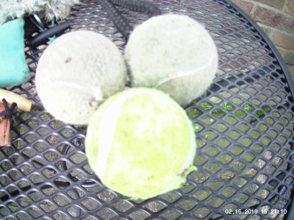tennis balls for retreiving