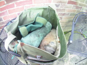 spaniel training kit