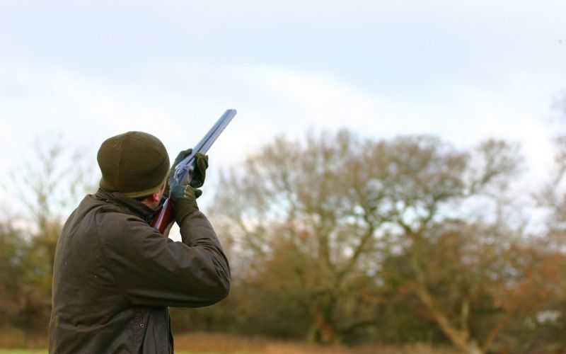 how do you teach a spaniel a blind retrieve