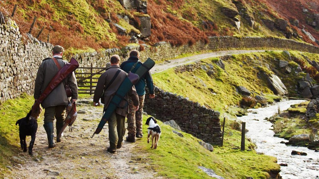 how do you teach a spaniel a blind retrieve