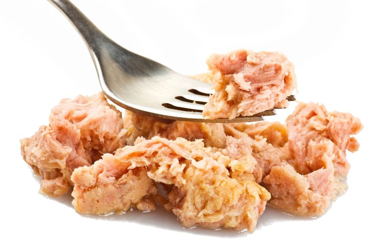 dog eating tuna Mixing tuna with dog food is there a benefit?