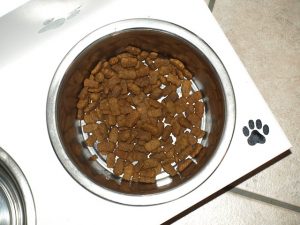 mixing tuna with dog food