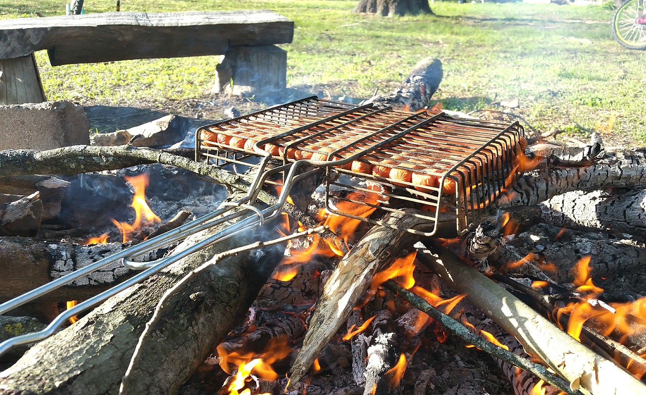 Camping with a spaniel – what to take and how to prepare