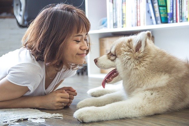 Do dogs know that we are not dogs? Interesting question for dog parents 9 do dogs know we are not dogs