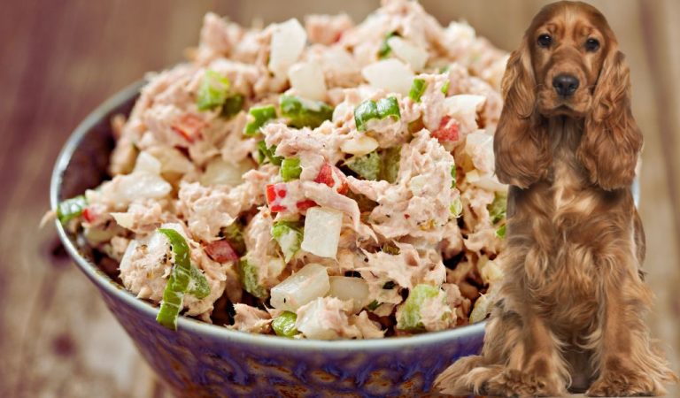 mixing-tuna-with-dog-food-is-there-a-benefit-easy-spaniel-training