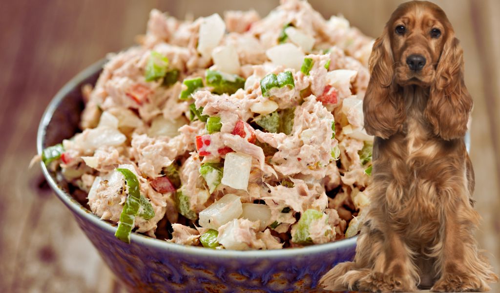 tuna with dog