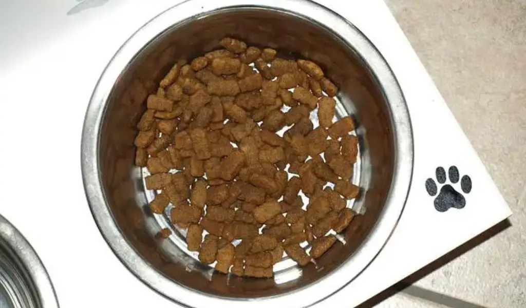mixing tuna with dog food (2)