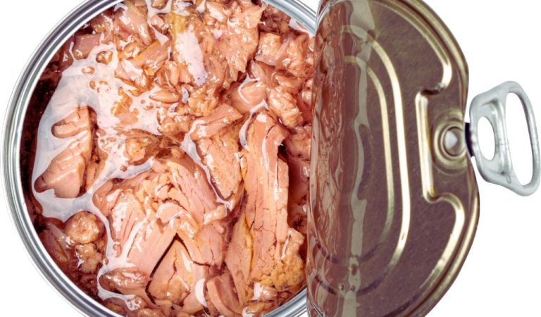 Mixing Tuna With Dog Food Is There A Benefit Easy Spaniel Training mixing-tuna-with-dog-food-is-there-a-benefit-easy-spaniel-training