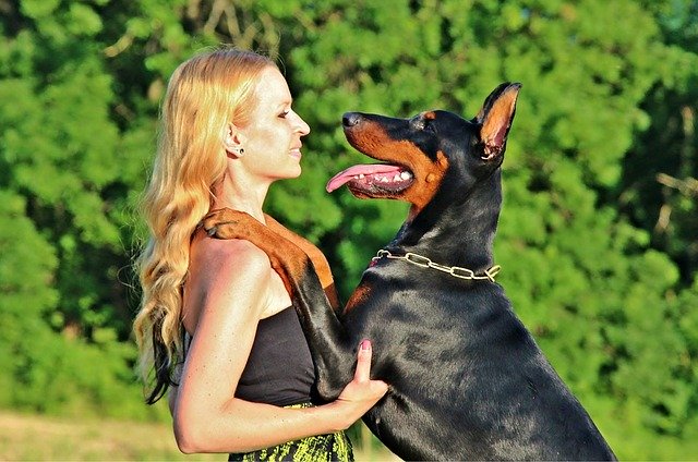Do dogs know that we are not dogs? Interesting question for dog parents 11 do dogs know we are not dogs