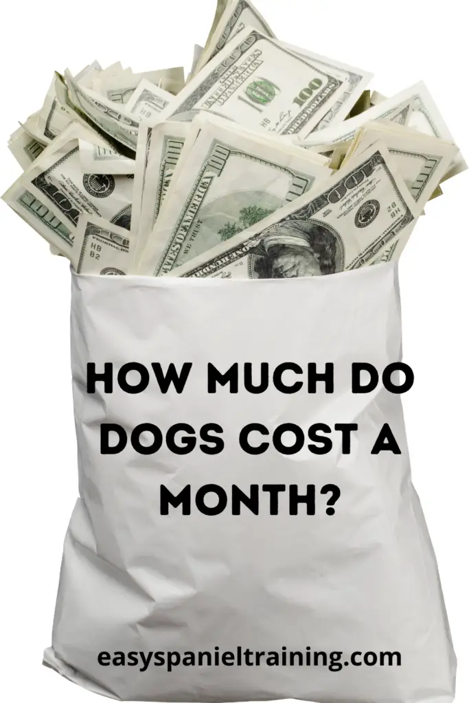 how much do dogs cost a month