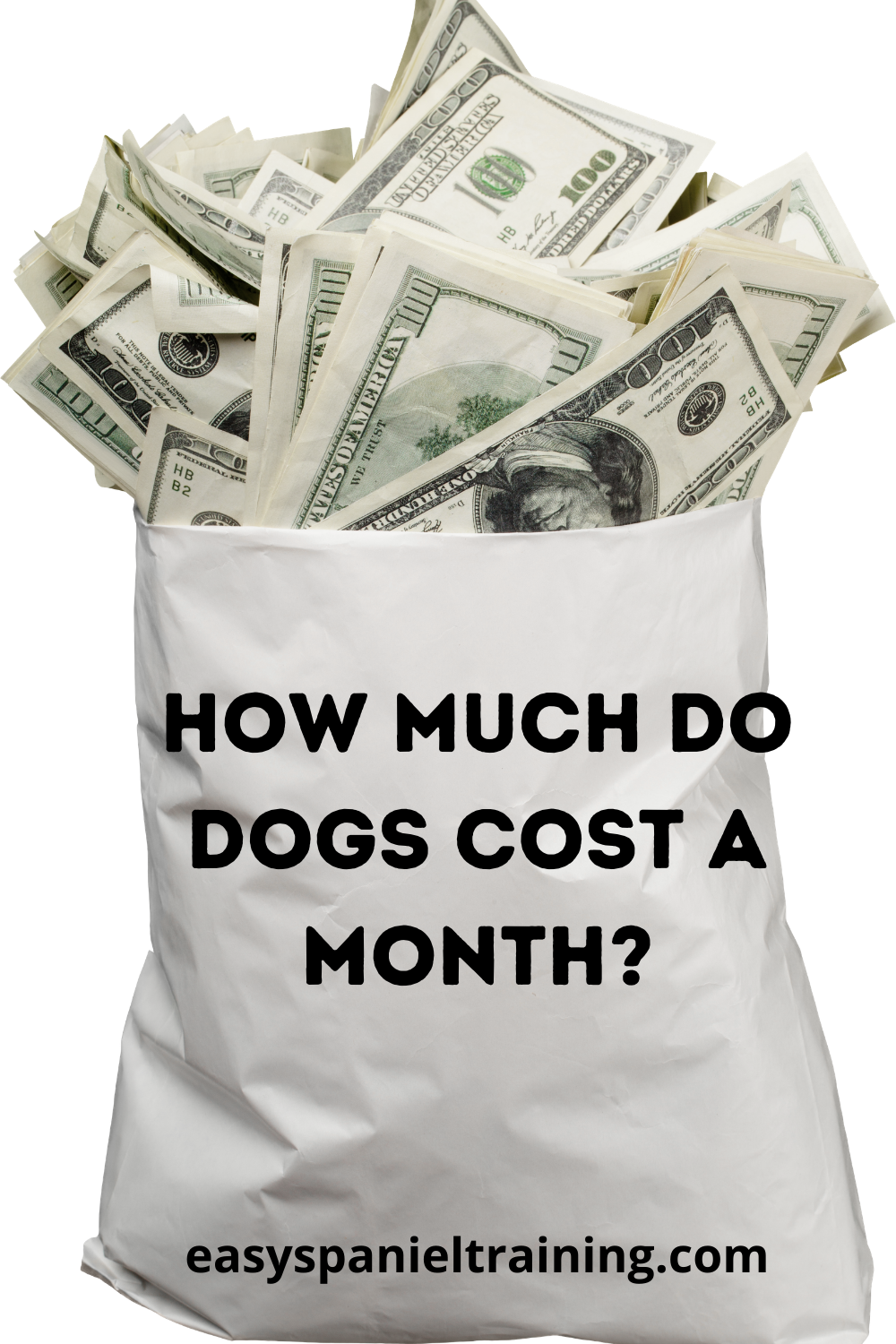 How much do dogs cost a month? How much it actually costs