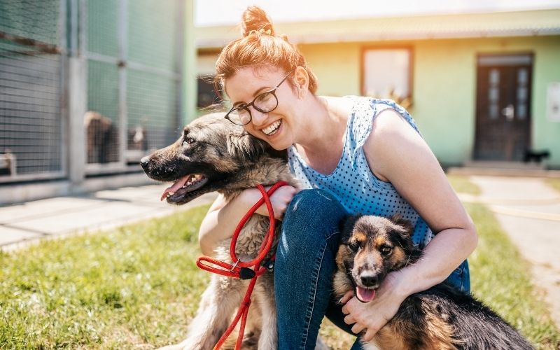How to choose the right care for your dog 8 how to choose the right dog day care