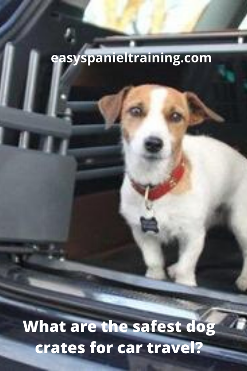 what are the safest dog crates for car travel