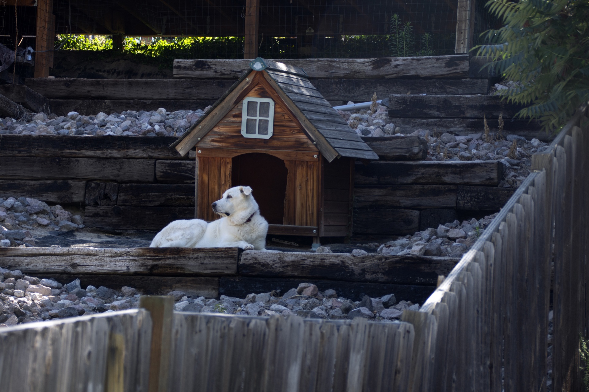 How to make a patio dog friendly