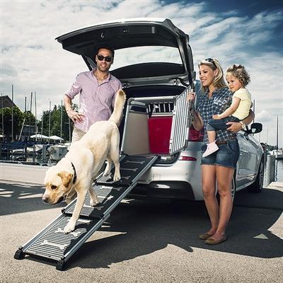 what are the safest dog car crates