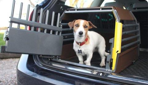 What are the safest dog crates for car travel?