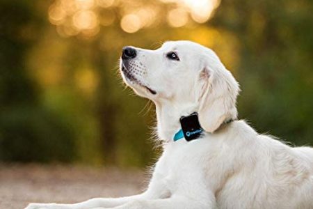 what do dog gps tracker do