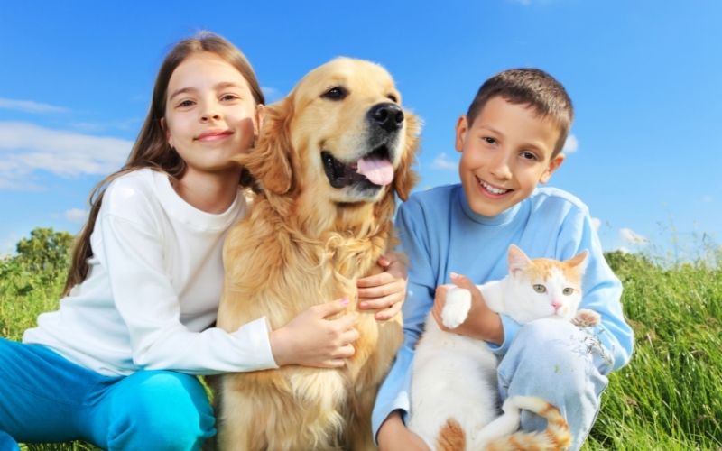 The 5 steps to dog training success 5 the 5 steps to dog training