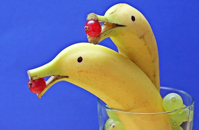 Can Cocker spaniels eat bananas? What you should know. 3 Can Cocker spaniels eat bananas? What you should know.