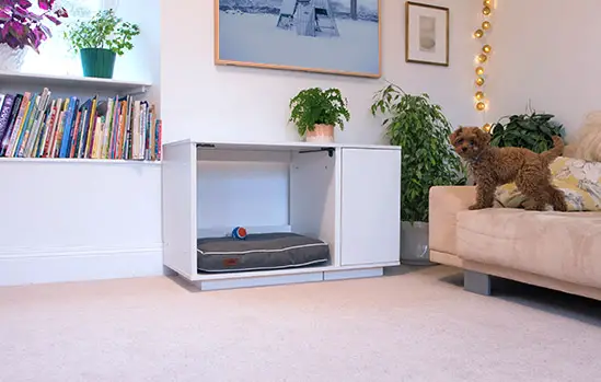 best luxury indoor dog kennel