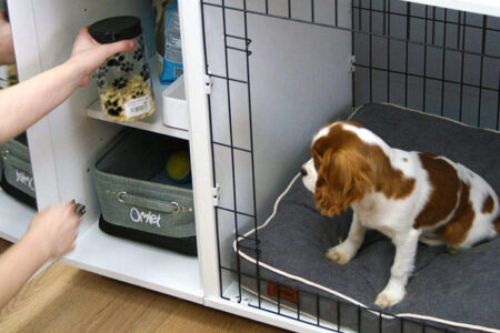 best luxury indoor dog kennel