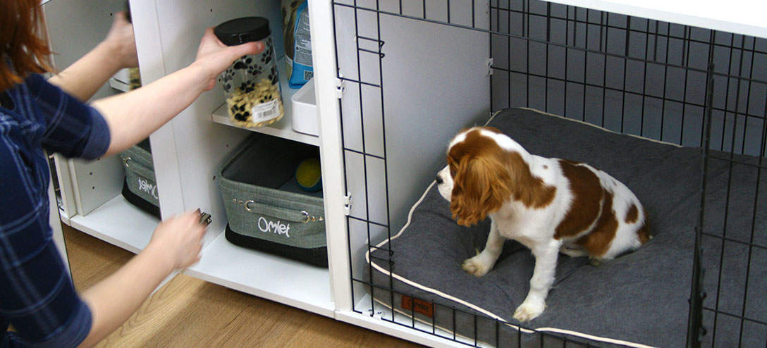 best luxury indoor dog kennel