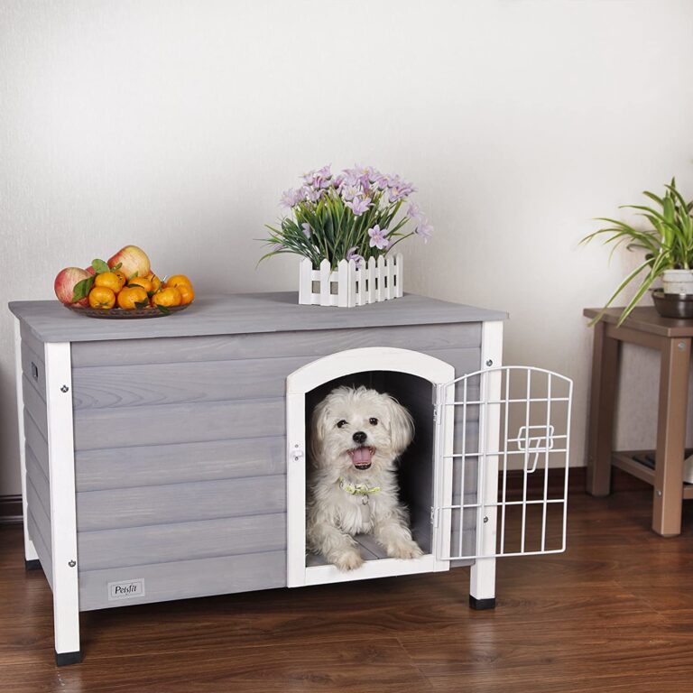 Best luxury indoor dog kennel