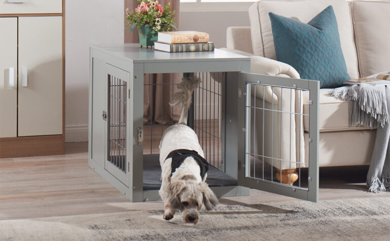 Best luxury indoor dog kennel