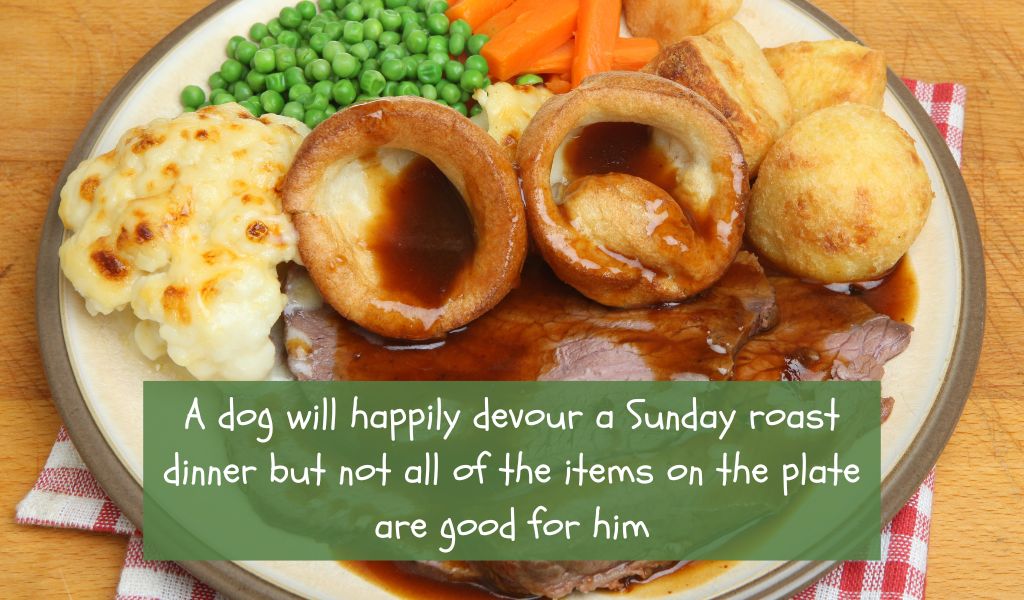 Can dogs eat Yorkshire pudding? 3 can dogs have yorkshire puddings