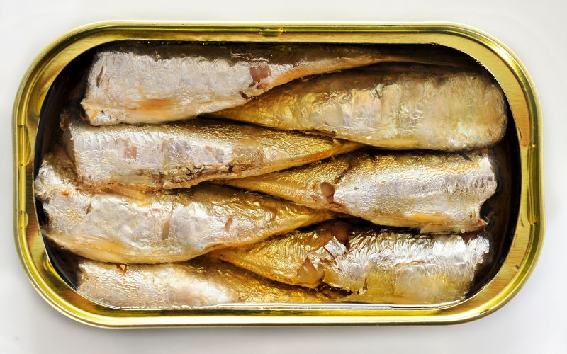 Can dogs eat canned sardines? What you should know?