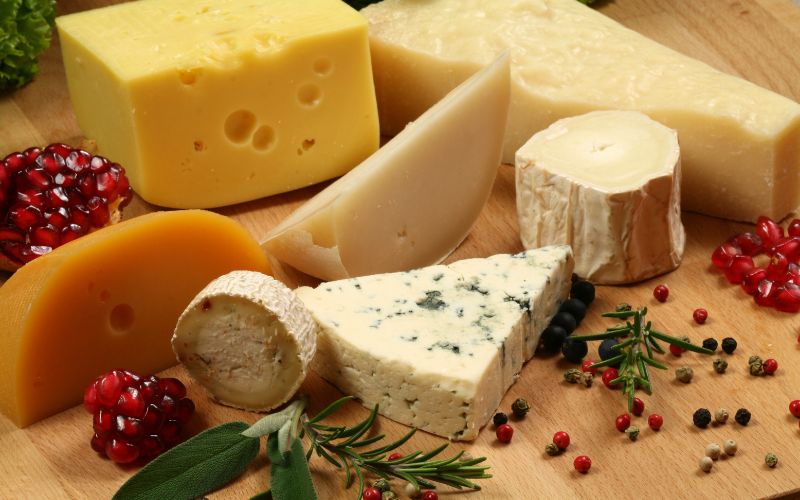 Is it okay for dogs to eat cheese? You need to know this 7 can dogs eat cheese