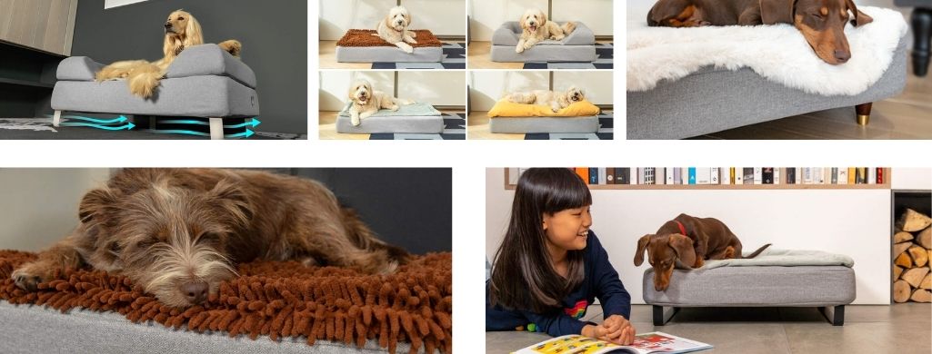 Best customizable dog bed. Here it is 8 best customizable dog bed