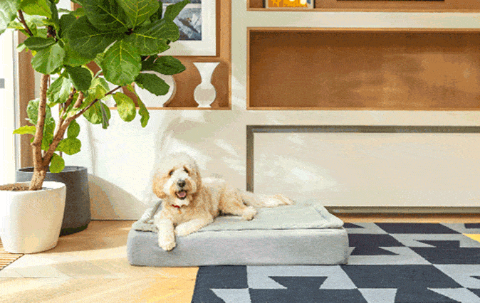 Topology luxury dog bed will look great in your home accessorise with toppers Omlet