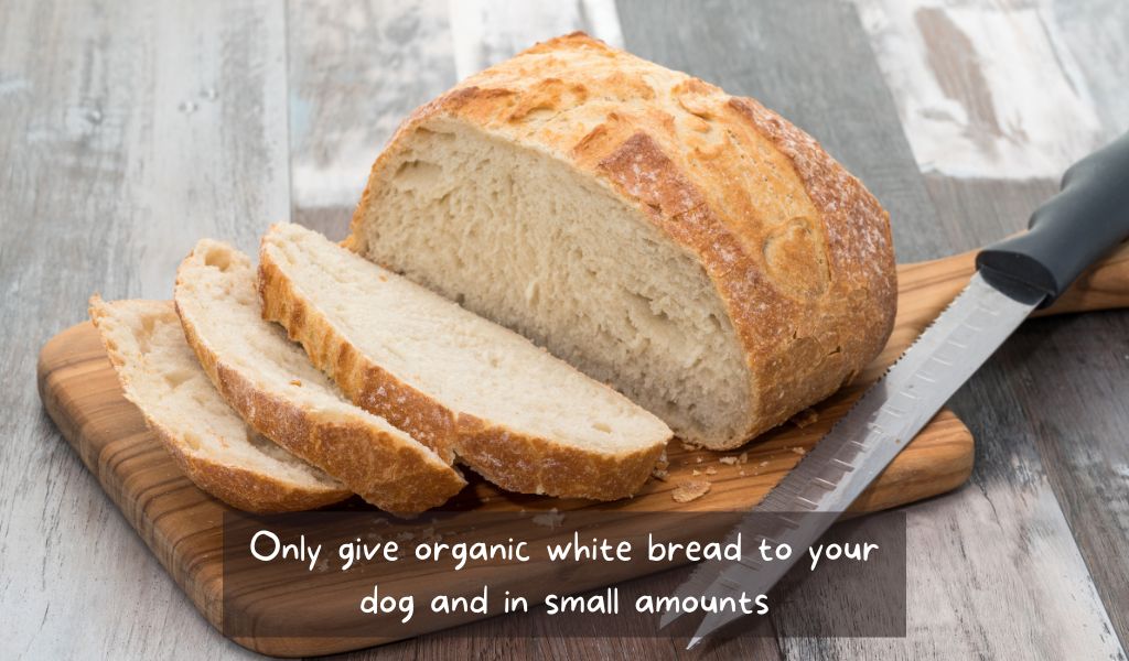 organic loaf of white bread