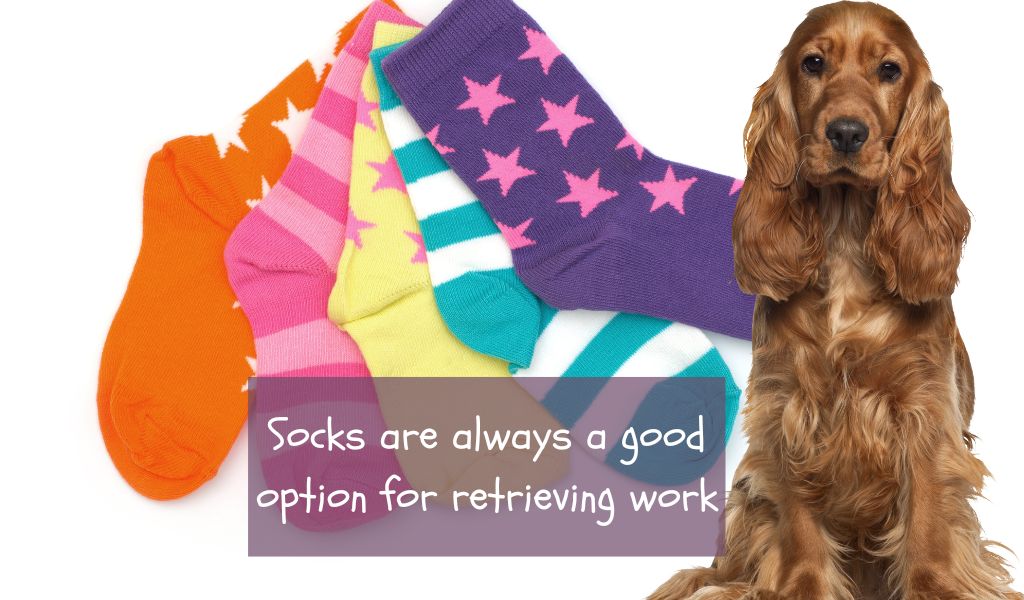 How do you train a Cocker spaniel to retrieve? 2 How do you train a Cocker spaniel to retrieve?