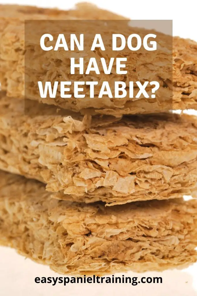 can a dog have weetabix