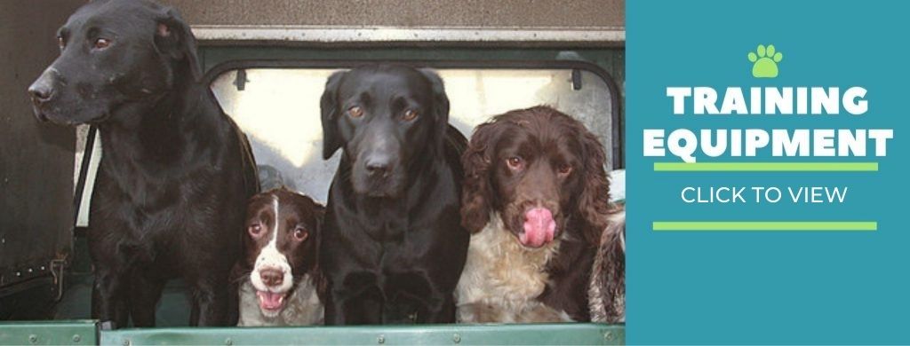 easy spaniel training equipment
