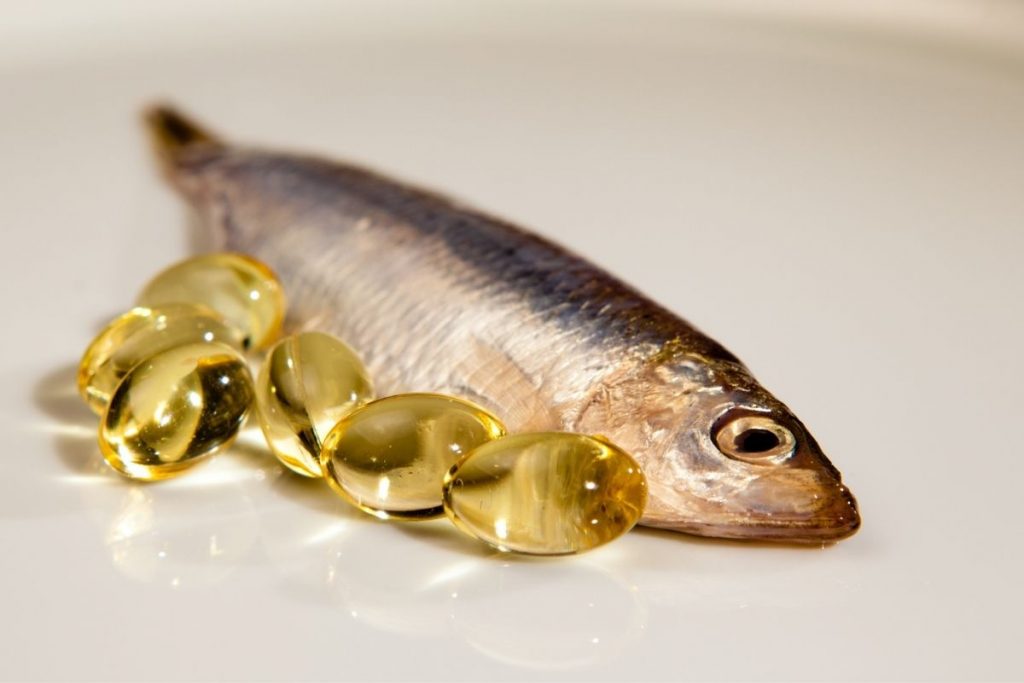 What cooking oils are safe for dogs? 2 what cooking oils are safe for dogs