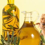 what cooking oils are safe for dogs