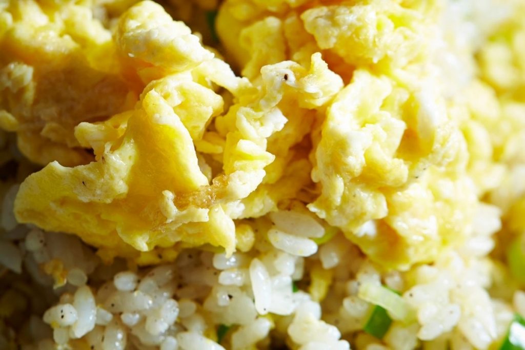What you need to know about dogs and egg fried rice 3 can dogs eat egg fried rice