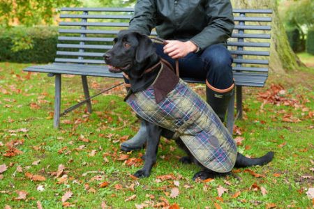barbour tartan dog jacket