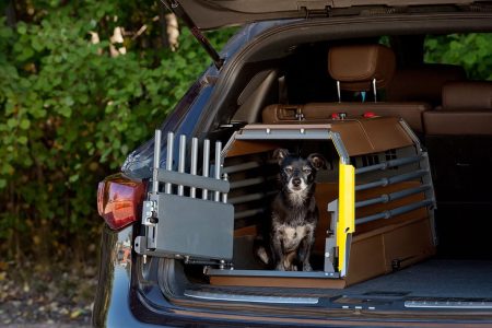 crash tested dog crates