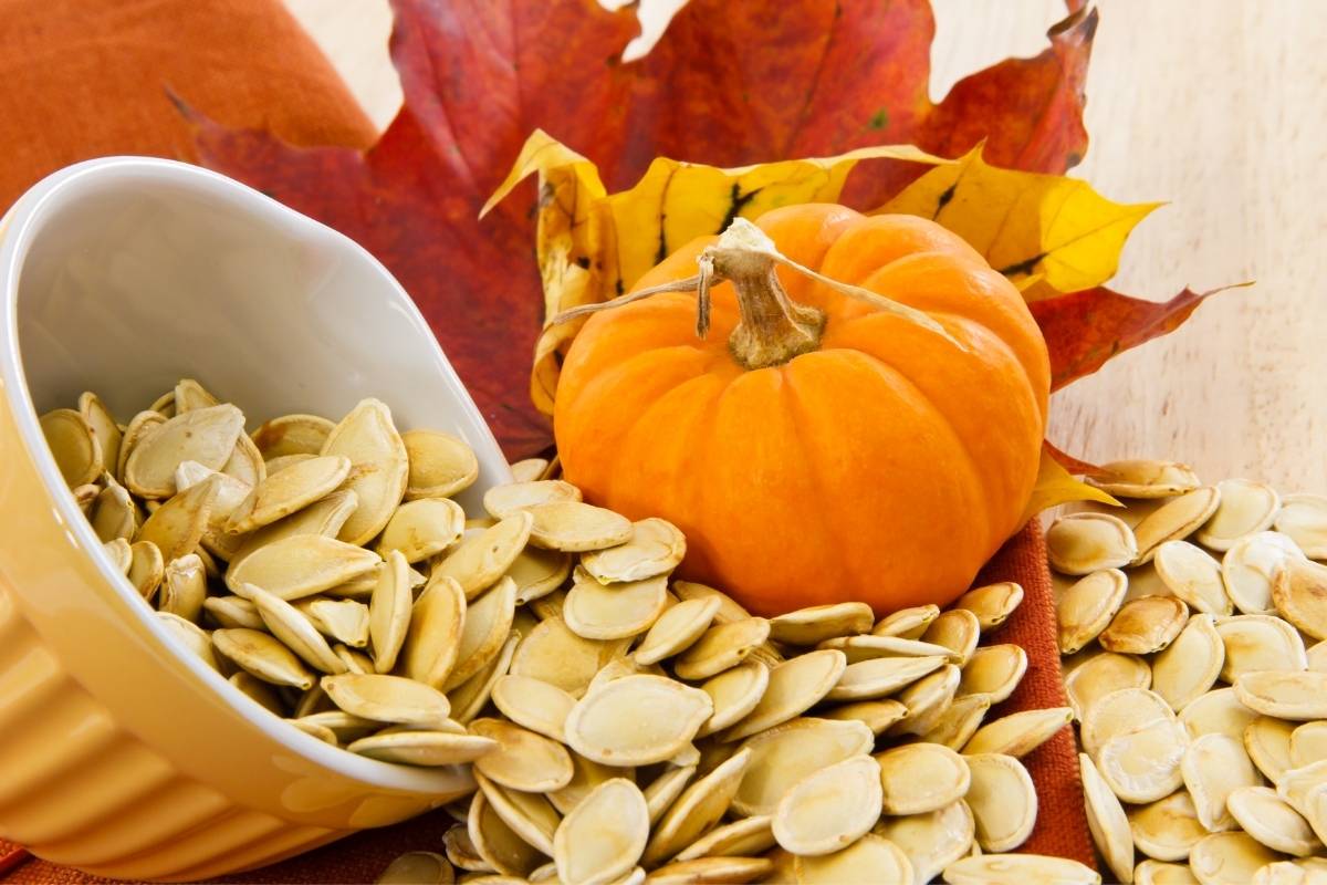 Can dogs eat pumpkin seeds?