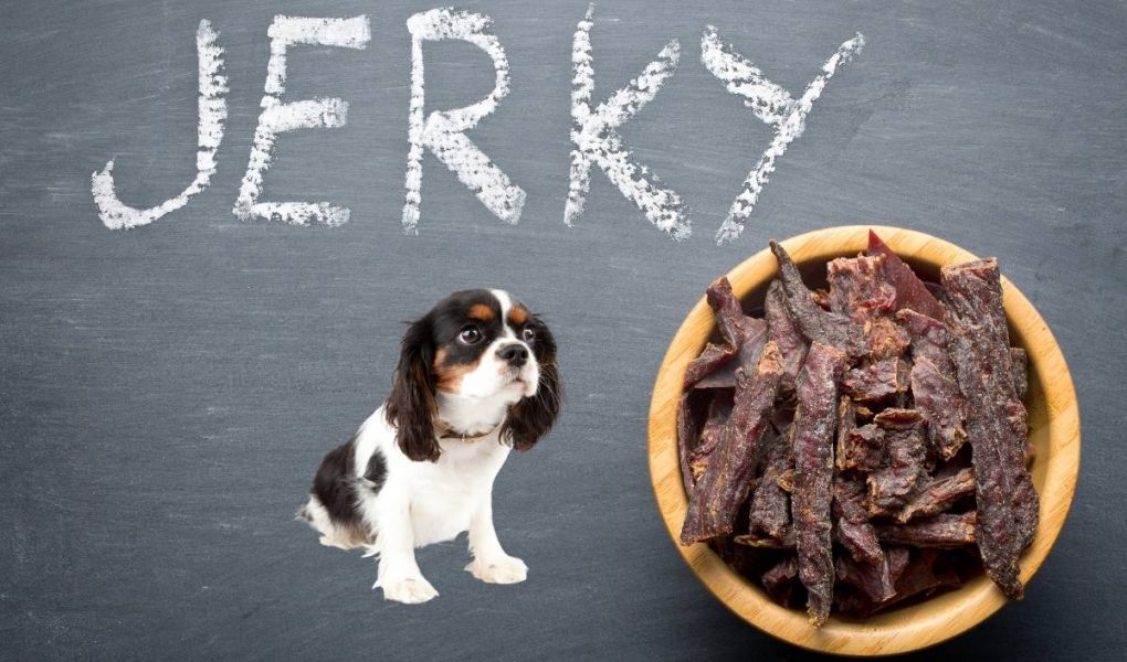 Can Dogs Eat Beef Jerky Easy Spaniel Training
