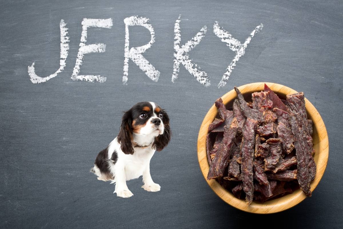 Can dogs eat beef jerky?