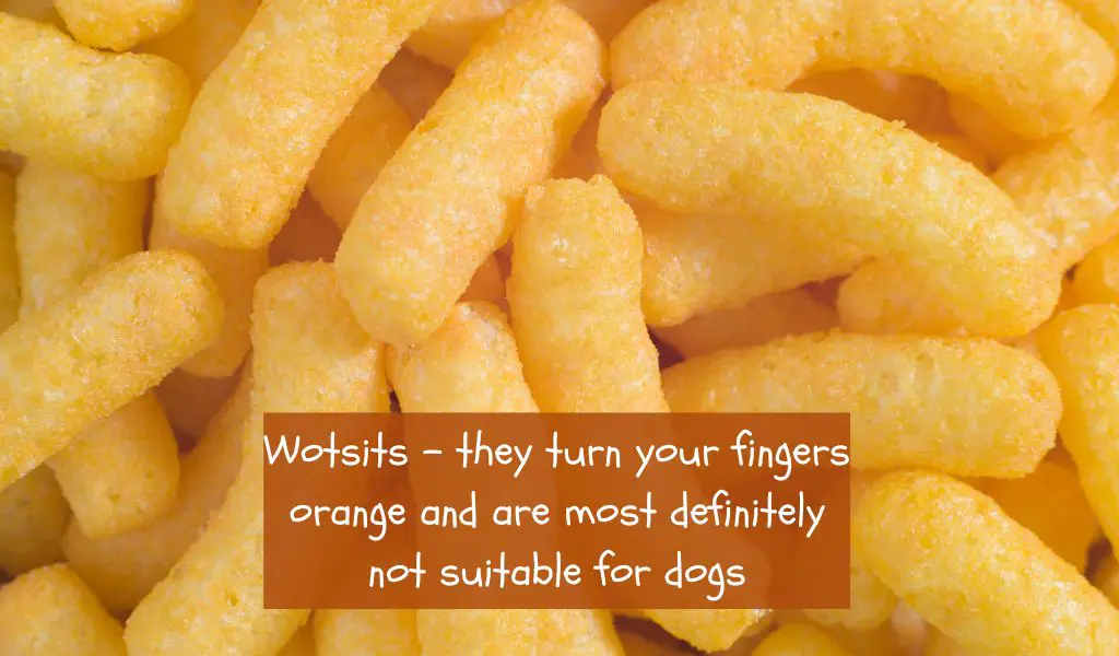 Can dogs eat Wotsits?