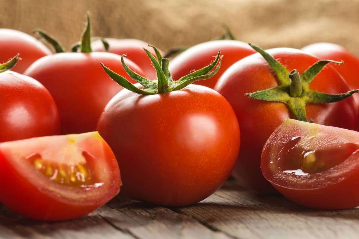 Can dogs eat tomatoes?