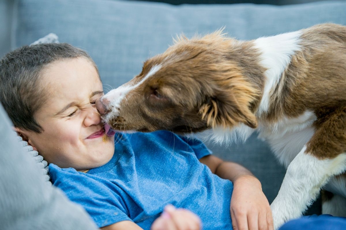 why do dogs lick you in the morning